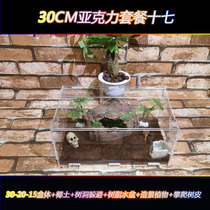 Climbing pet feeding box acrylic feeding box 30CM Spider scorpion centipede climbing pet feeding box 30*20*15