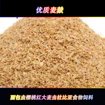Wheat Bran breadworm barley cherry red Dubiya crawling pet food feed
