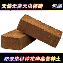 High quality sterile coconut brick climbing paddling mat Spider scorpion centipede mat planting vegetable flower nutrition soil