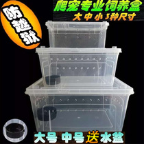 Climbing pet double Open feeding box breathable living pet spider feeding box large medium and small double opening feeding box