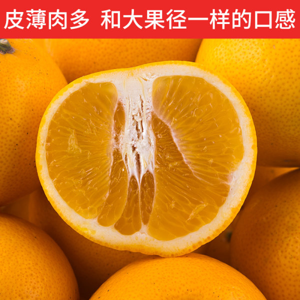 常山胡柚 60-75mm大果 净重8斤 天猫优惠券折后¥14.9包邮(¥19.9-5) 常山胡柚 60-75mm大果 净重8斤 天猫优惠券折后¥14.9包邮(¥19.9-5)