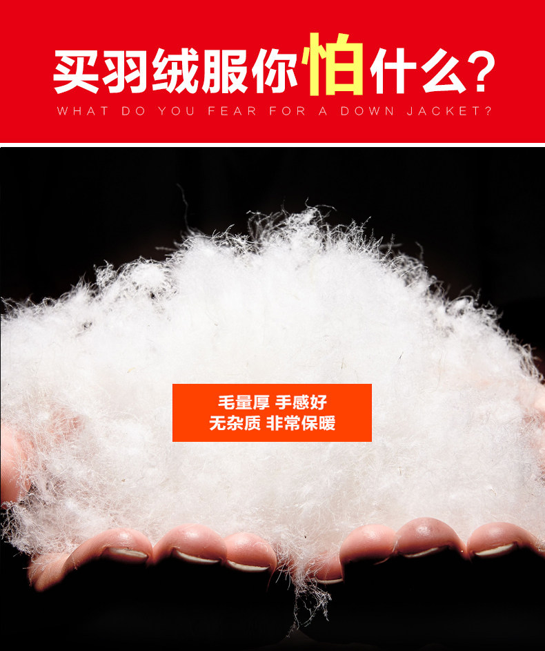 Blouson homme DONEPAIS   - Ref 3121703 Image 11