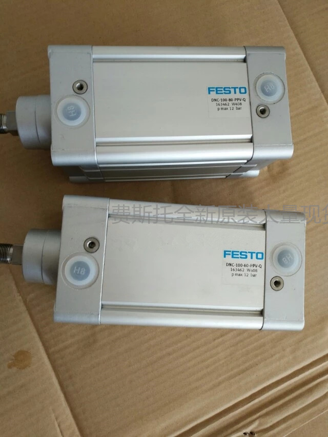 The original FSBG Cylinder DSBG 50-25-40-50-80-100-125-PPV-A-N3 spot