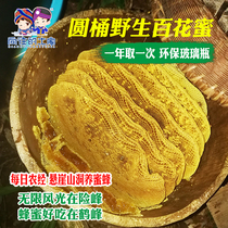 Yearning for Tujiaotu honey Wild flower nectar pure crystal Hefeng takes barrel winter honey pregnant women and children a year