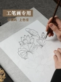 曹一阁 Крыло Cicada Crowe Paped Paper Ultra -Thin Tie Cicada Cicada Wing Cwing Transparent Braising Копии национального национального работника на национальной живописи Zhuguang Juguan