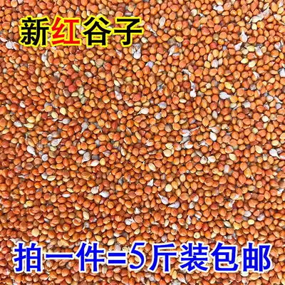 Shelled red millet brightening fur color bird food bird food tiger skin peony Xuanfeng parrot Pearl bird grain grain