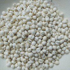 Sichuan fritillary mother Zhengzong Sichuan Te-level wild bitter Sichuan fritillary mother natural no sulphur Songbei sharp bemable mill powder note 100g