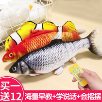 Small month-old baby toys newborn infants and toddlers over four or five months old to sleep and slap the artifact rocking fish 0 to 1 years old