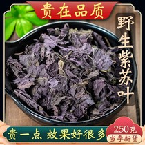 Perilla leaf traditional Chinese medicine 250g wild perilla dried dried perilla leaf edible soaked in water and tea grindable perilla leaf powder