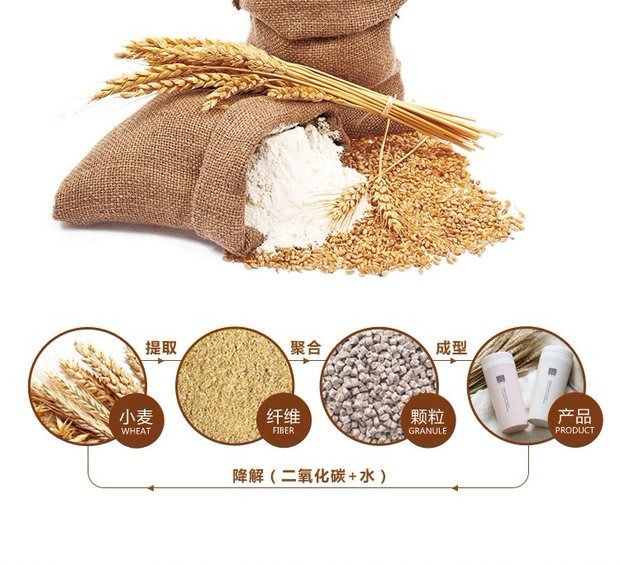 Lúa mì sáng tạo thể thao cầm tay cốc bảo vệ môi trường với nắp cốc sinh viên nam và nữ cặp vợ chồng uống đơn giản bình giữ nhiệt lock and lock 500ml