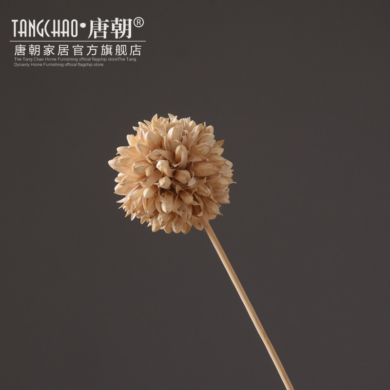 �Ƴ��Ҿ���Ʒ���滨��װ��