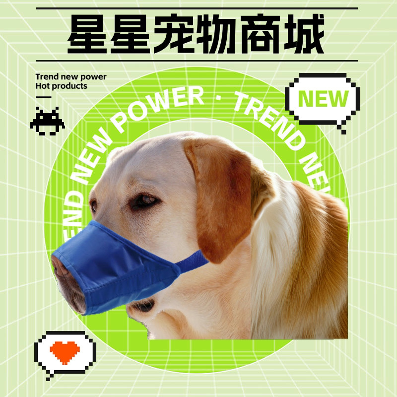 星星宠物用品工厂店