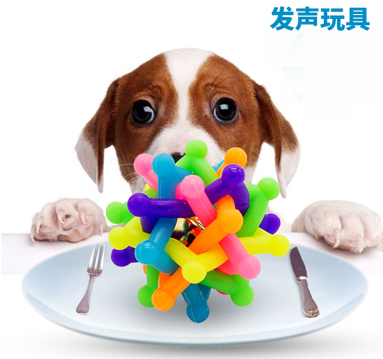 Pet dog cat gel tắm bàn chải khăn pet thực phẩm xẻng đồ chơi âm thanh nhu yếu phẩm hàng ngày tích hợp gói 5 bình nước treo chuồng
