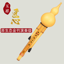 Golden bamboo gourd silk professional performance type c tune down b tune gf Hu Lu Silk musical instrument beginner beginner Adult Yunnan Yuxiang