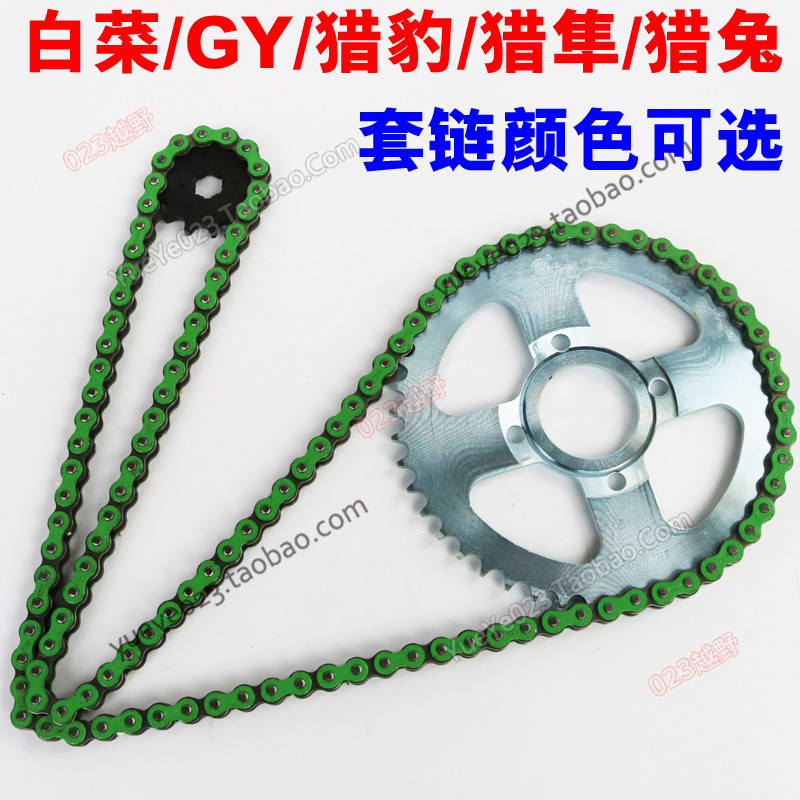 Cabbage GY Polar Shorts Hunting Rabbit Hunting Leopard Sleeve Chain Size Gear Large Fluted Disc 520 Gold Necklace Color Chain
