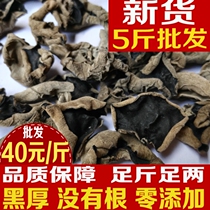 New cargo Heilongjiang Teryield Northeastern Cloud ear black fungus 500 gr black thick origin direct meat thick bulk