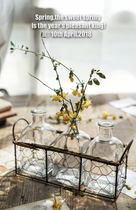  Retro old wrought iron rattan woven glass hydroponic vase transparent ins wind pastoral country three-piece set