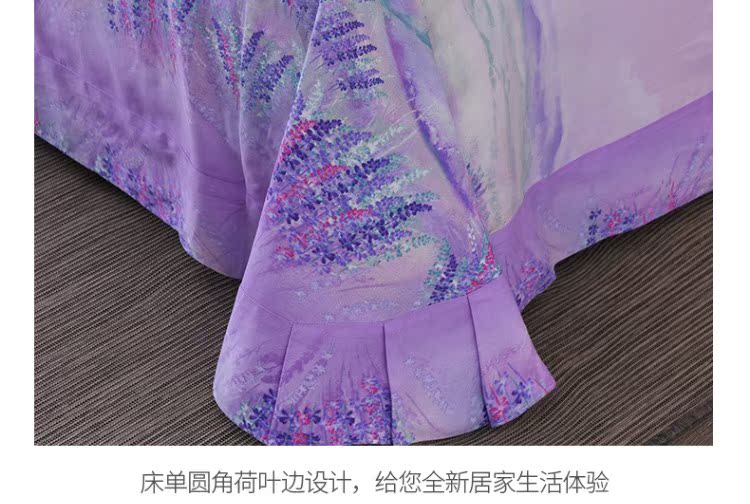 Hoa Kỳ và Yang mới mùa đông bông denim sinh thái nhám dày tấm giường bông áp dụng 1.5m1.8 - Bộ đồ giường bốn mảnh bộ chăn ga gối đẹp
