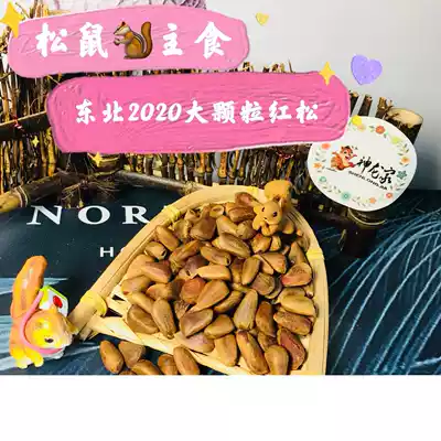 Mood recommended Dragon House squirrel Grain bulk northeast red pine nuts King staple food Red Pine nuts 500 grams