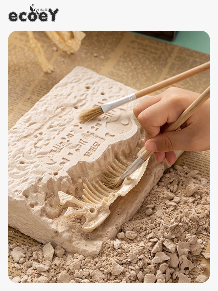 Dinosaur artisanal production of diy archaeological fossils of male and female children Toys 5-8-14-year-old barking dragon skeleton model