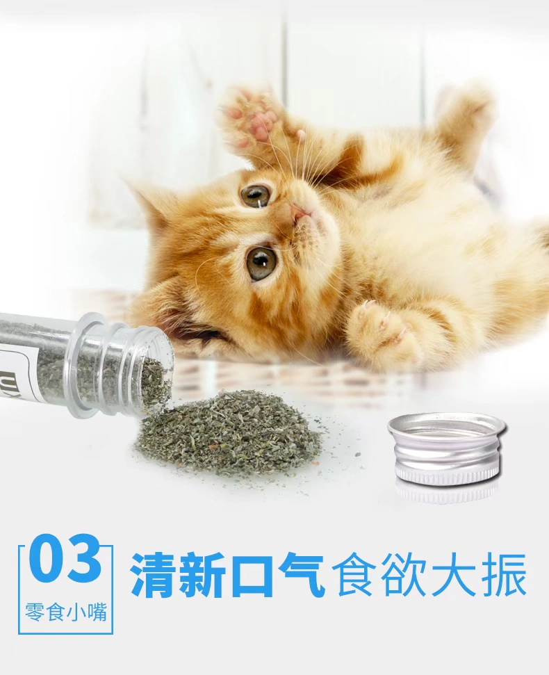 Xiao Xu Cat Mint Cat Snacks 45ml Blue Cat Orange Cat Short Hair Balls Cat Cat Đồ chơi - Đồ ăn nhẹ cho mèo