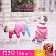 Quần áo cho chó Teddy mô hình mùa xuân và mùa thu hơn chó gấu Bomei VIP chó con nhỏ - Quần áo & phụ kiện thú cưng