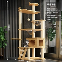 Meow House-Mengqu Palm