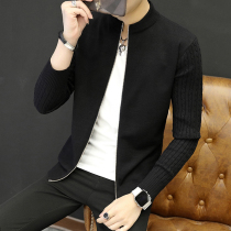 Hipster coat mens spring and autumn Korean fashion slim handsome striped personality stand collar jacket knitted outer clothes