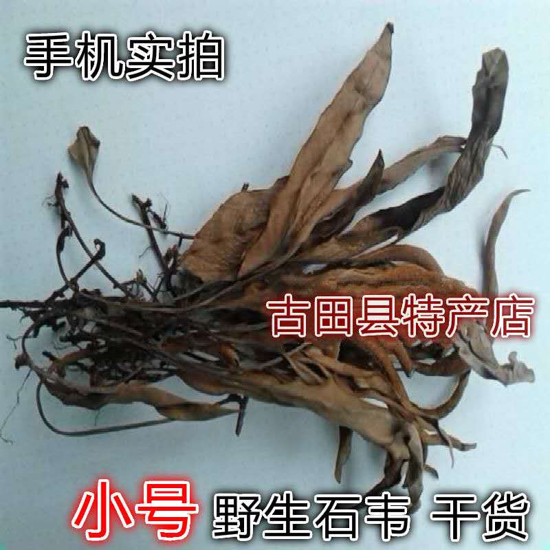 Natural green grass trumpet Shiwei, Shiwei, knife edge medicine, stone sword, stone back, willow stone skin, dry goods 500g