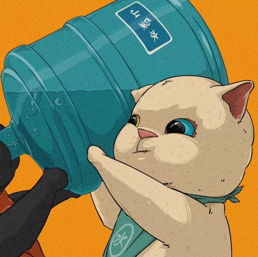 猫崽思密达的小店