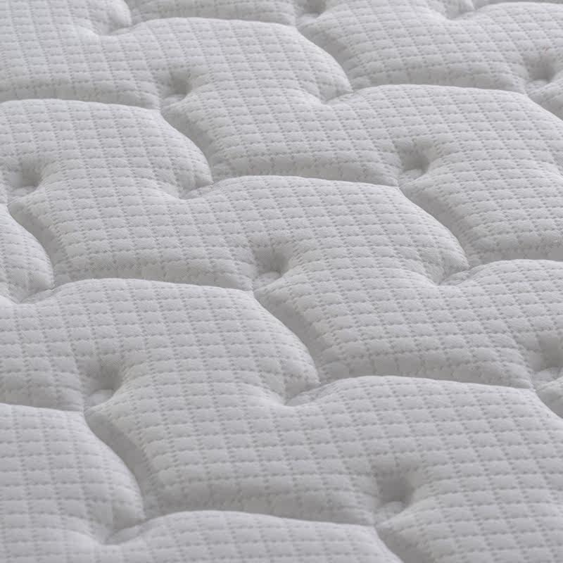 �����������������