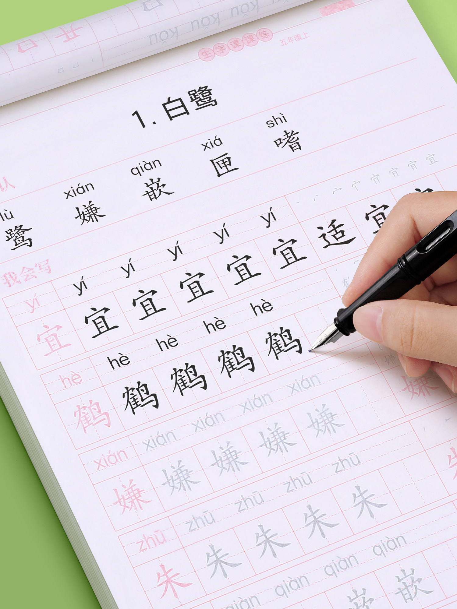 Fifth Grade First and Second Semester Textbooks Synchronized with the People's Education Press Edition, Elementary School Students' Handwriting Practice Book, Stroke Order, English Daily Practice, Special Calligraphy Practice Book for Regular Script, 21-Day Handwriting Practice Book, Character Practice Book, Regular Script, Fountain Pen, Hard Pen Calligraphy