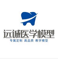 远诚医学模型