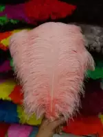 Креветки розовый