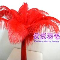 Красный чай улун Да Хун Пао