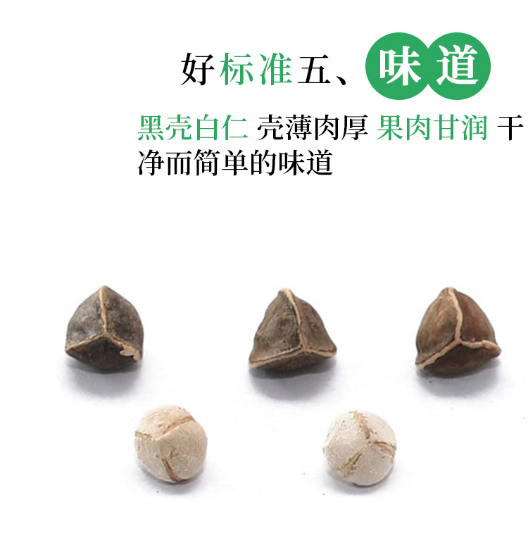 云南正宗老树新果辣木籽500g