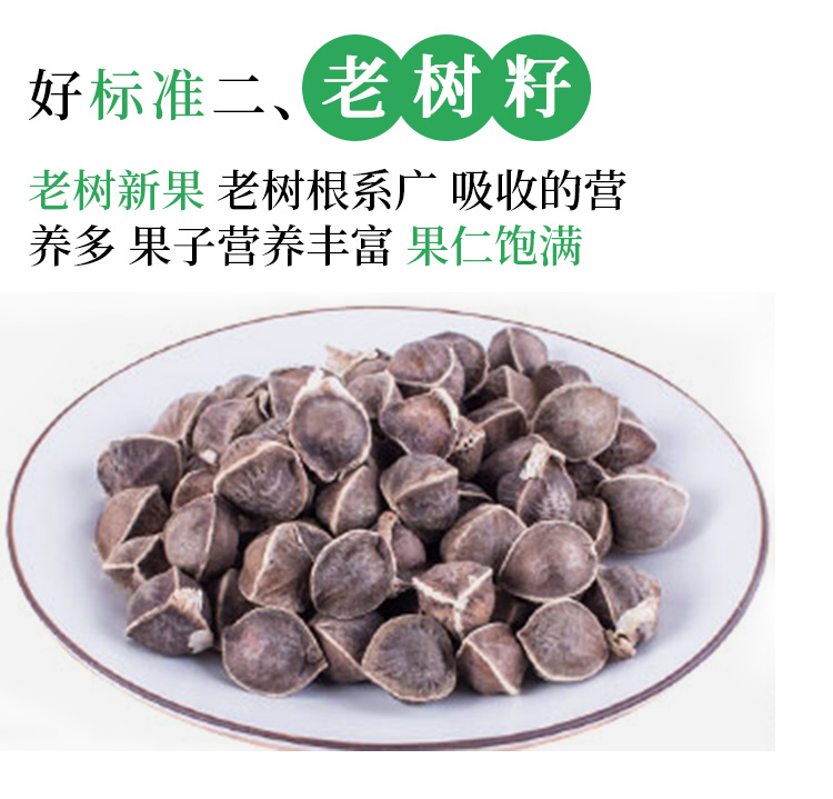 云南正宗老树新果辣木籽500g