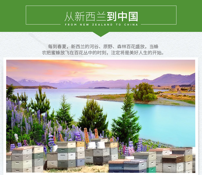 新西兰原装 蜜滋兰 百花蜜 500g 3万评价4.9高分 图4