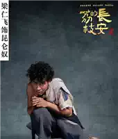 话剧《长安的荔枝》(图11)