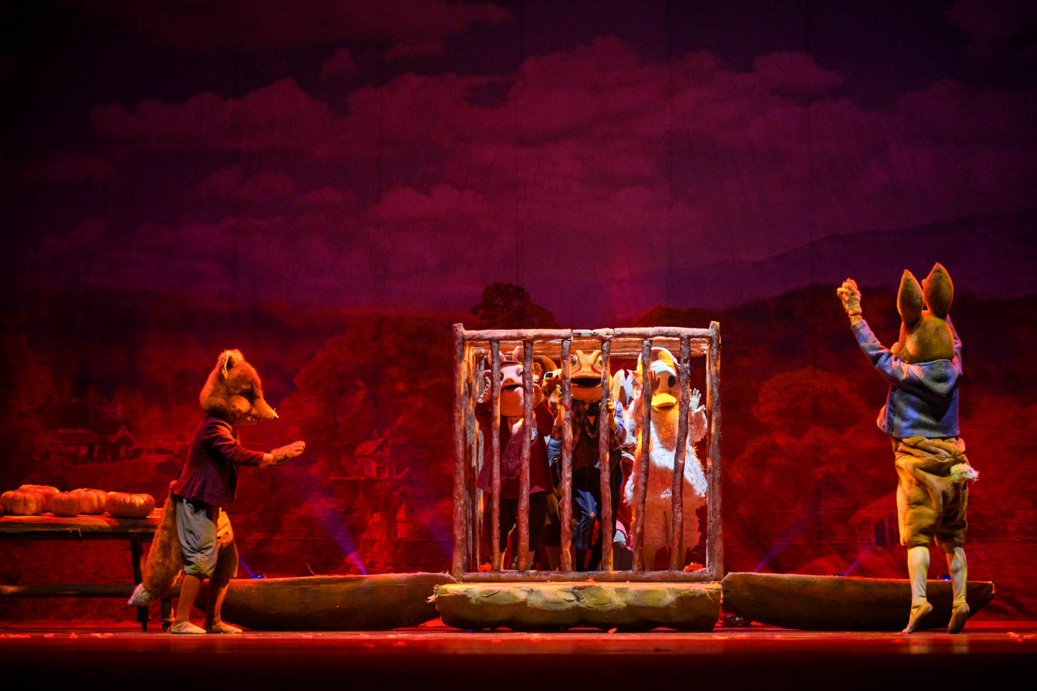 英国百年动漫经典芭蕾舞剧《比得兔之动物狂欢夜》