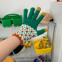 Korea ins autumn and winter cute warm plus velvet thickened knitted wool five fingers riding touch screen gloves female students