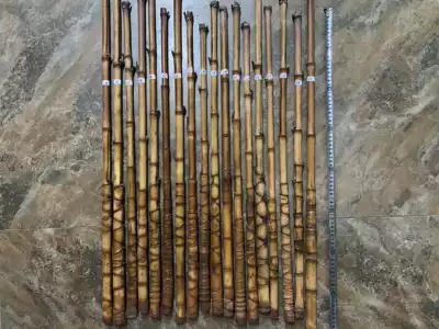 New to Luohan, Zhu, Jinghu, Baizi, Jinghu, Huqin, Erhu, Tortoise, Jinghu, Xipi, Erhuang