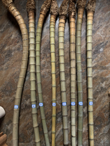 Small bamboo root raw material bamboo whip bamboo head material handlebar fishing gear raw material root carving crutch material diameter 4-5CM