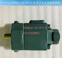 Japan oil research vane pump PV2R33-116-125-F-RAAA-41 PV2R24 PV2R23 PV2R12