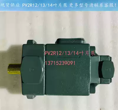 Japan Yuken vane pump PV2R33-116-125-F-RAAA-41 PV2R24 PV2R23 PV2R12