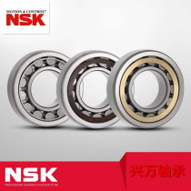 NSK Japan imported double row cylindrical roller machine tool bearings NN 3005 3006 3007 3008 K P5 P