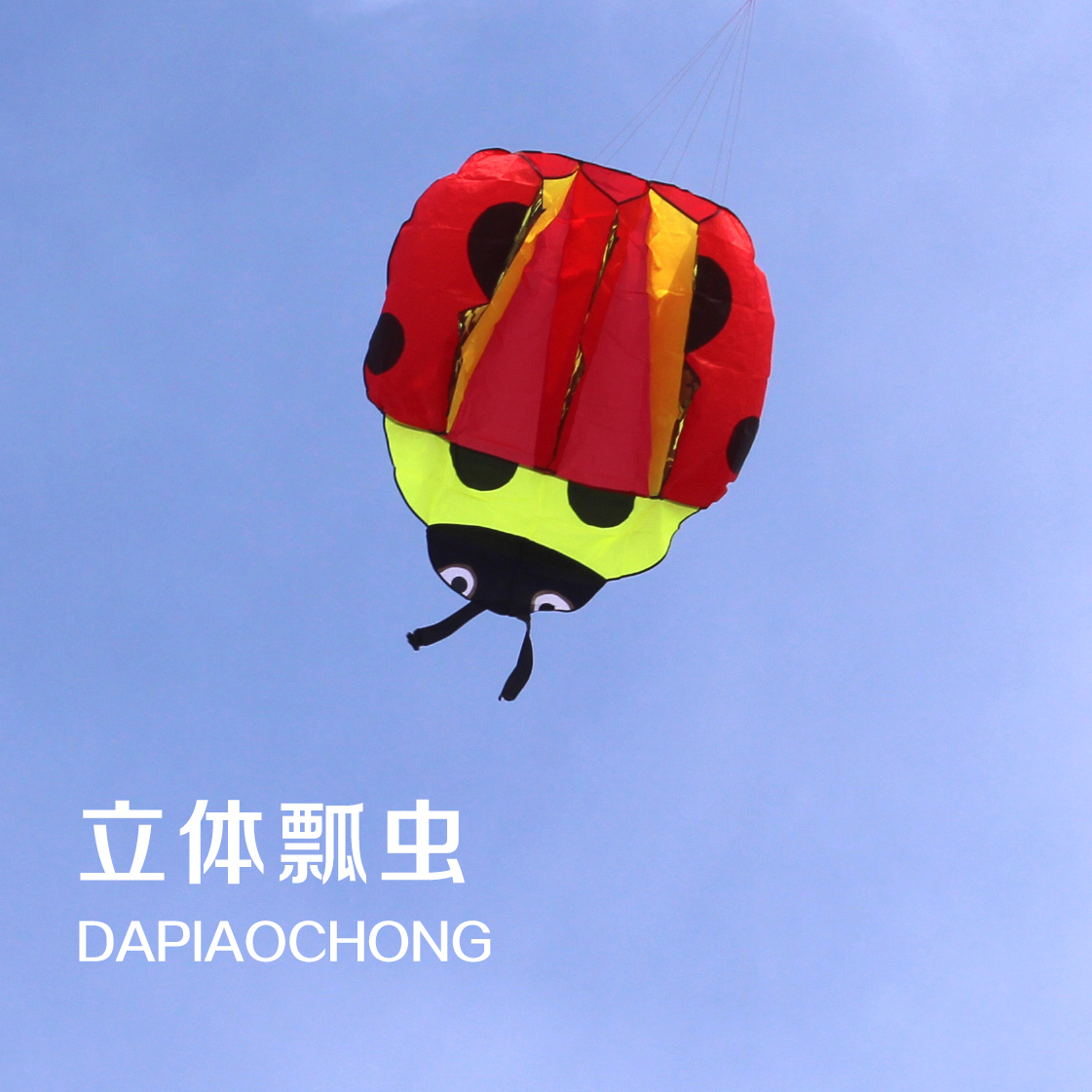 Weifang kite high-grade soft ladybug kite new three-dimensional cartoon good flying large adult kite