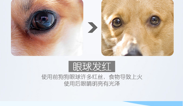 Đài Loan Xinghui thấy lớn cung cấp thuốc nhỏ mắt nhỏ mắt viêm viêm giác mạc viêm kết mạc chó và mèo - Thuốc nhỏ mắt sanlein 0.3