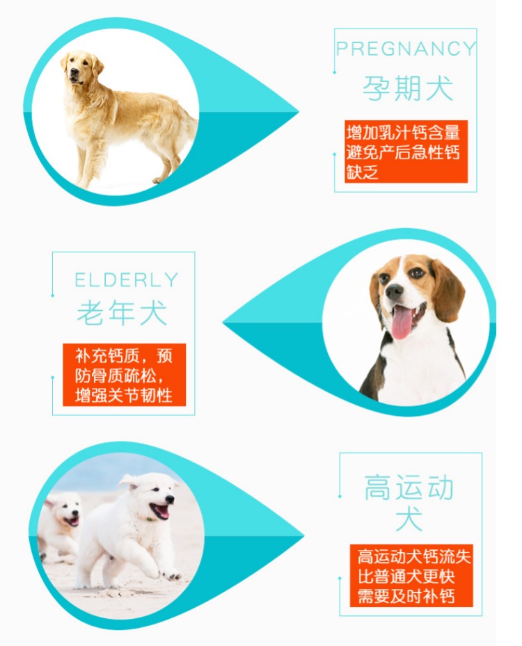 Chó canxi viên chó con xương canxi gấu bông lông vàng chó nhỏ Alaska mèo nuôi thú cưng - Cat / Dog Health bổ sung Sữa Precaten cho mèo