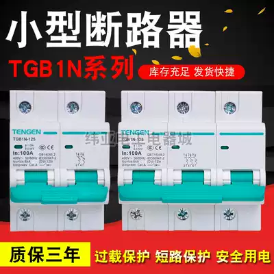 Tizheng TGB1N-125 air switch household small Circuit Breaker 1p open short circuit protection 2P air conditioning switch